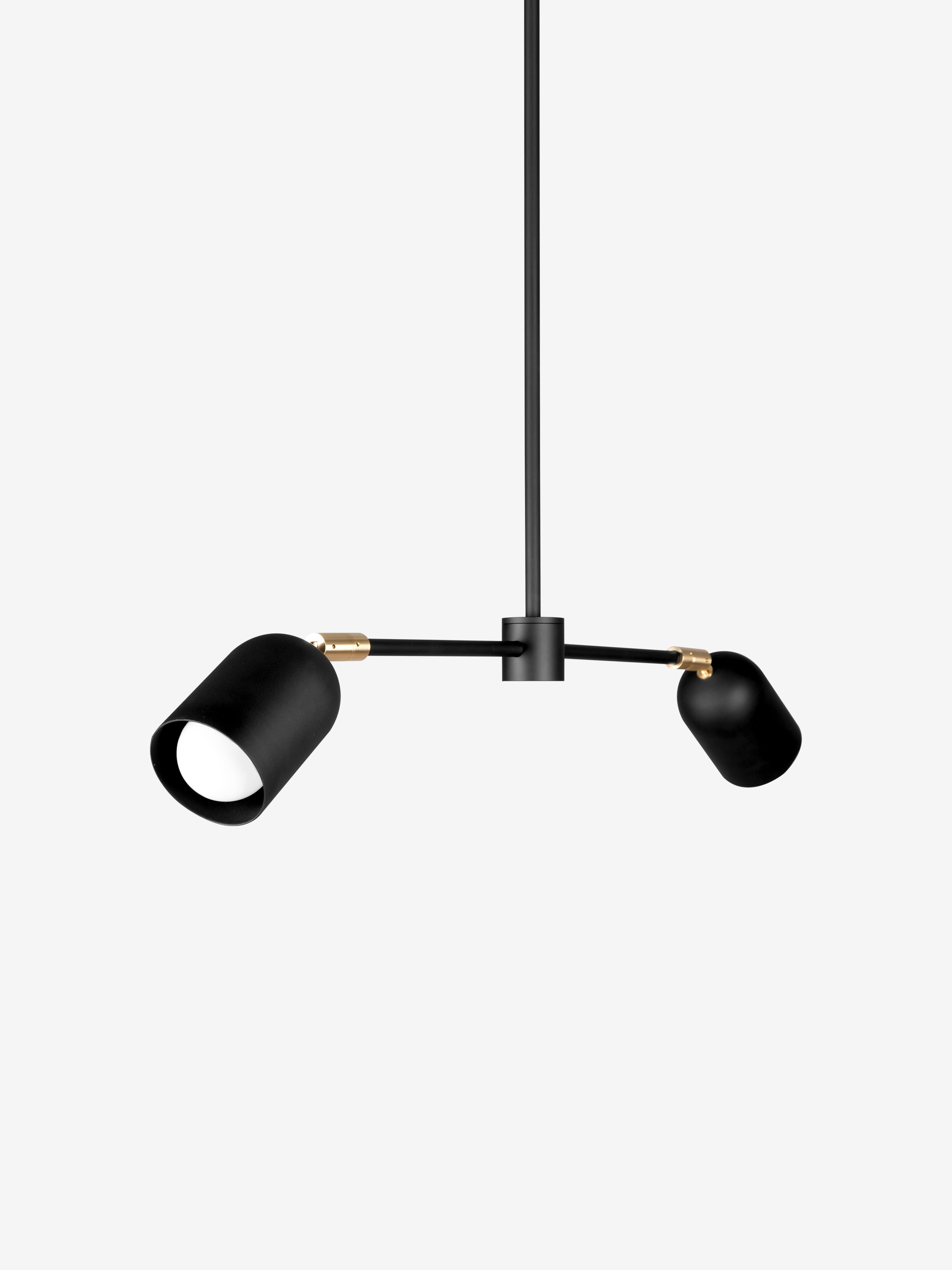 Petaluma 1 / Pendant / Black and Brass